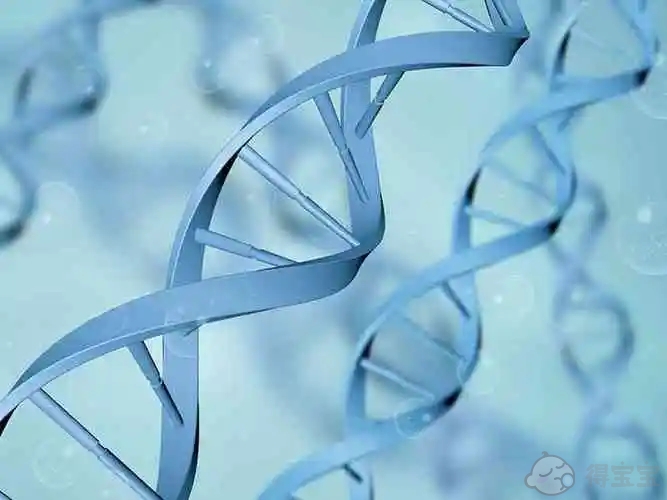 昆明昆华医院可以做第三代试管婴儿吗？