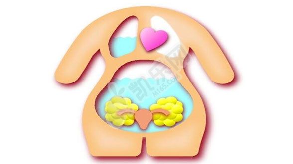 取卵后腹水怎么快速排出体外(图1)