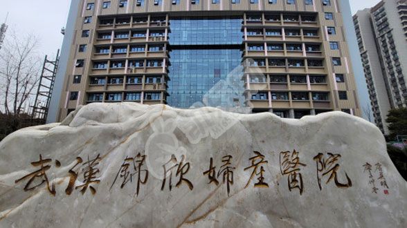 武汉试管婴儿私立医院排行榜 武汉私立试管医院成功率如何？(图3)