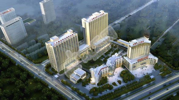 安徽的安徽省第二人民医院试管婴儿水平何如?（附费用与成功率）(图3)