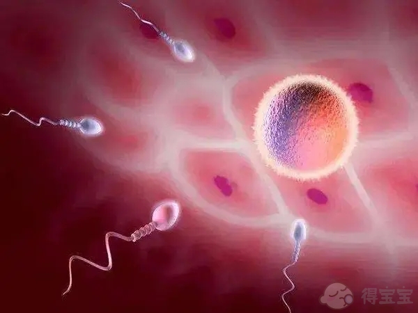 上饶市妇幼保健院可以做试管婴儿吗？费用是多少？