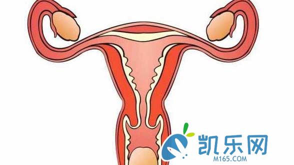 输卵管积水真的会影响试管婴儿成功率吗?造成试管失败的因素还有哪些?(图2)