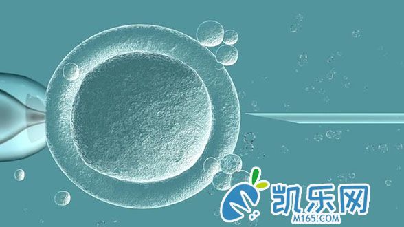 老公结扎还能做三代试管吗?成功率怎么样?(图1)