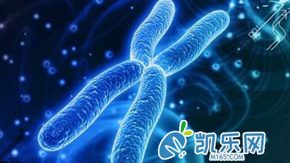 试管移植期间降调标准及注意事项!(图2)