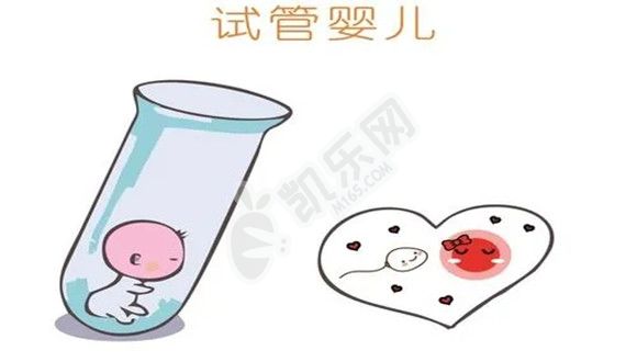没有结婚证哪里可以做试管?条件是什么?(图2)