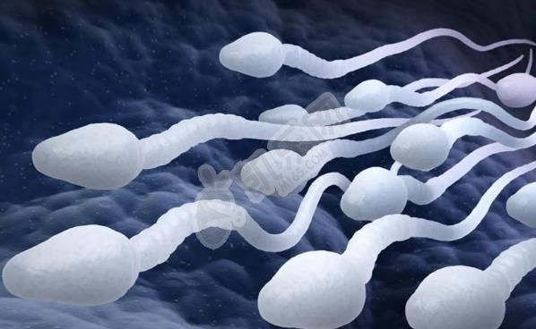 做试管婴儿取精要注意些什么 男性患者必须了解(图2)