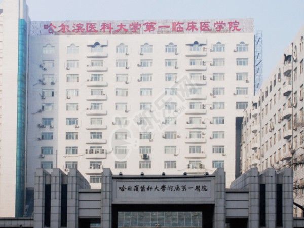 2022黑龙江试管医院排名揭晓，哈医大一院、市一院上榜前三(图2)