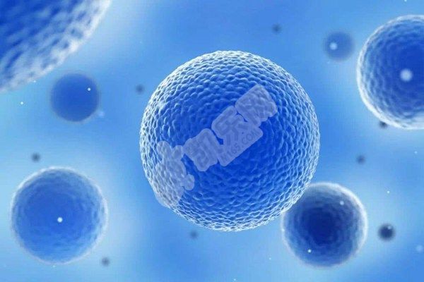 试管婴儿第三天的胚胎评分811和812是有什么区别吗？(图1)