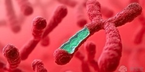 2022三代试管包生男孩价格多少？生男孩费用因城市而异