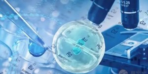 浙江省试管婴儿助孕费用大约多少，2022浙江试管费用明细参考