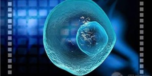 2022年最好的太原市正规民营供卵机构推荐