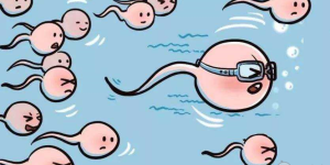 保定妇幼二代试管多少钱？保定妇幼做二代试管条件有什么？