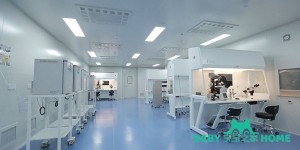 2022山东中医药大学第二附属医院试管婴儿成功率一览，附试管医生推荐