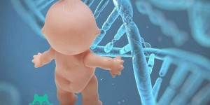2022上海做三代试管婴儿费用多少？能报销吗？