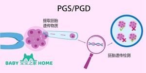 2022国内做三代试管条件一览，不是所有不孕不育都能做