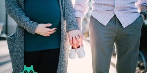 2022甘肃省妇幼保健院试管婴儿生男孩费用、成功率一览