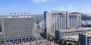 咸宁市中心医院试管水平如何（附费用与成功率）