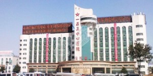 做试管去河南的联勤保障部队第988医院如何（附费用与成功率）