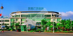 东莞试管婴儿医院排名最好名单 附东莞试管婴儿费用成功率