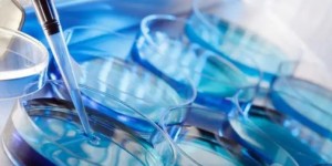 2022南昌供卵多少钱？附详细步骤和费用明细参考