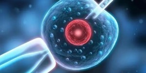 无锡904医院做试管婴儿怎么样？能不能一次成功？