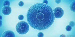 南宁哪家医院有卵子库做供卵试管？附详细信息？