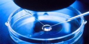 2022国家做试管婴儿可以免费吗？哪些人群得到补贴