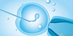 泌乳素高影响试管移植成功率和胚胎吗？