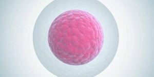 2022年青海能做试管包生男孩的医院名单，2家医院均不能进行