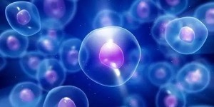 2022南京鼓楼医院可以做三代试管吗？可以选男女吗？