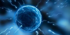 江苏扬州哪个医院的试管婴儿好？试管成功率高不高？