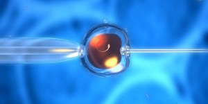 佛山做试管婴儿大概多少钱？2022试管婴儿详细