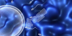 2022苏州试管婴儿哪里医院最好，附三家助孕机构成功率排名