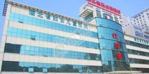 2022武汉供卵试管婴儿医院排名，附供卵三代试管成功率和费用一览