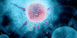 男性做人工授精有哪些条件要求？附人工授精男性精子5点标准一览