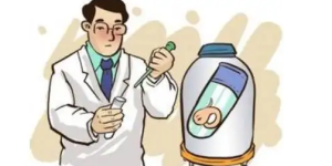 做试管一定要养囊吗？养囊的成功率受这三个因素的影响
