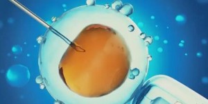做试管取卵卵泡不成熟怎么回事？四个方法提高卵子质量