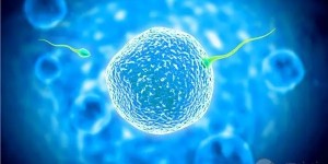 十堰人民医院试管婴儿多少钱？2022试管医院价格表公布