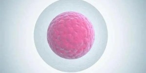 2022在承德妇幼保健院生殖中心哪位大夫做试管好？