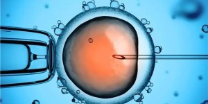 必看！2022年南京供卵试管婴儿费用多少钱？