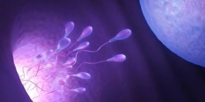 福鼎试管医院哪家好？福鼎试管医院成功率排名公开！