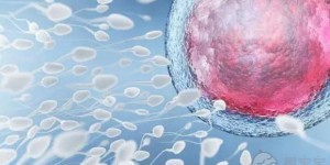 济南私立医院试管婴儿前男女检查项目有哪些