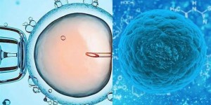 湖北十堰市太和医院可以做试管吗？能开展试管婴儿第三代吗