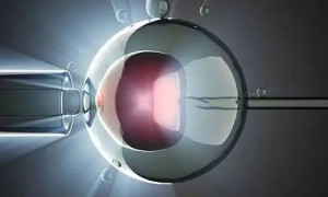 2022年深圳供卵试管婴儿大概多少费用？附全流程花费明细