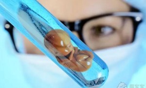 热点关注：试管婴儿胚胎移植后着床失败的原因2022全新解读