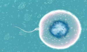 天津中心妇产科医院试管流程，附三代试管助孕指南