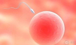 邯郸妇幼做试管婴儿怎么样？助孕成功率高吗？
