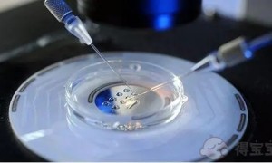 2022年徐州妇幼保健院试管婴儿费用要多少钱?