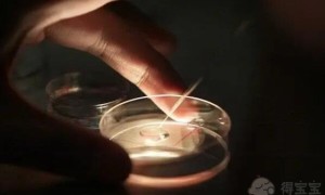 2022年西安能通过第三代试管助孕的医院名单，5家医院中2家均可进行