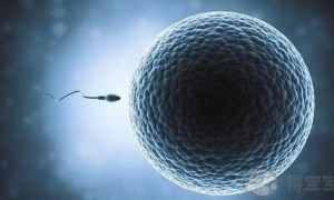 2022年珠海哪家医院可以做试管婴儿？珠海试管医院大全